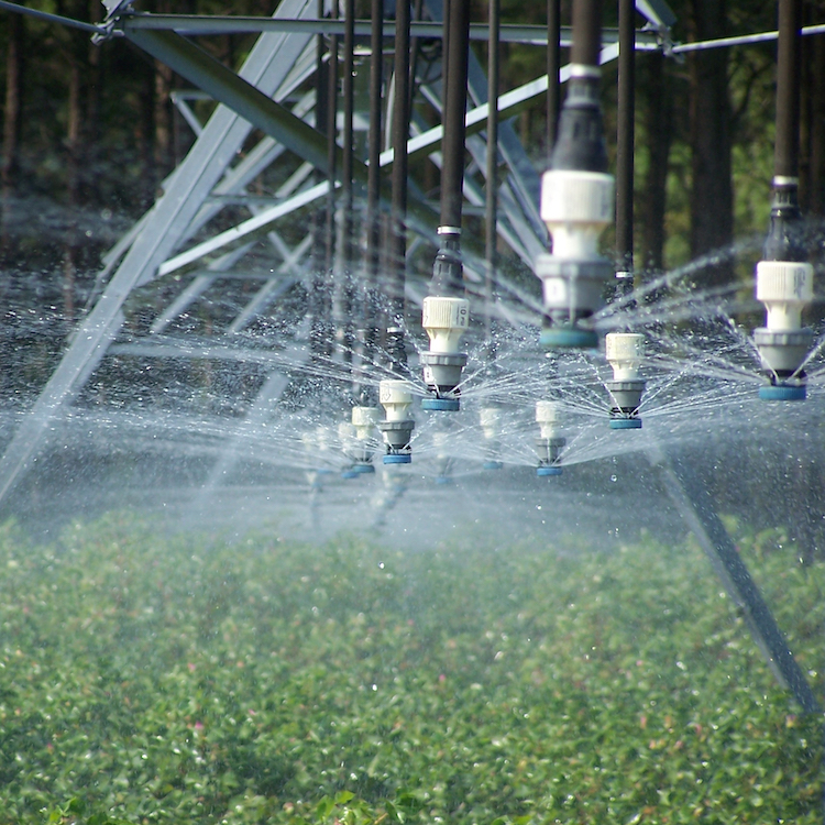 July is Smart Irrigation Month in Georgia